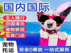 硕放航空快递国际宠物托运 【国